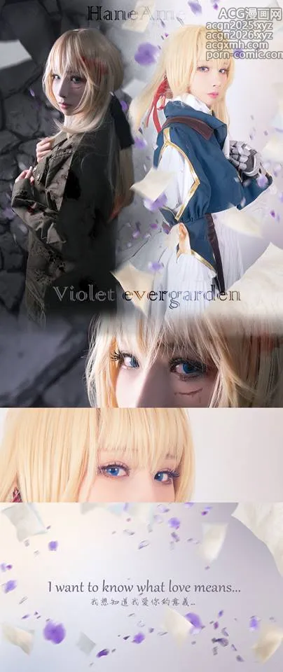 雨波_HaneAme - NO.071 Violet evergarden[22P]