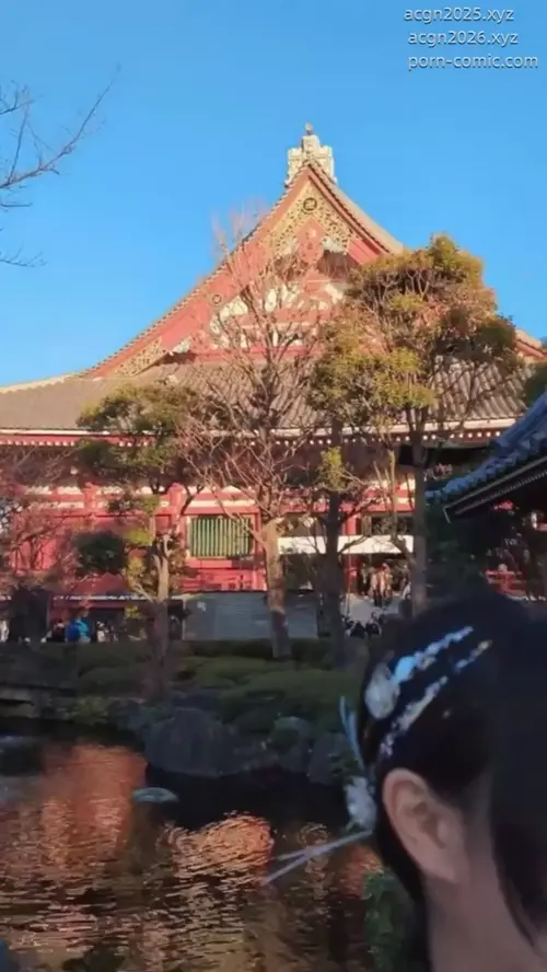 雨波HaneAme – NO.351 Original 2024 New year Silver Kimono-v (4).mov
