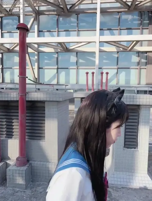 不呆猫 – NO.042 天台小m猫-v.mp4