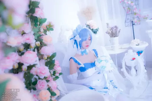 二佐 NO.033 蕾姆2号本 雷姆花嫁 [33P]
