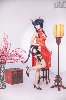 雪晴Astra – NO.060 明日方舟 陈 旗袍 [17P]