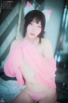 Bambi(밤비) NO.091 [BLUECAKE] Naughty Cats Pink & Mint RED [145P]