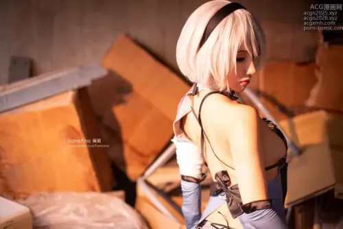 雨波_HaneAme - NO.044 NieR Automata 2B[238P]