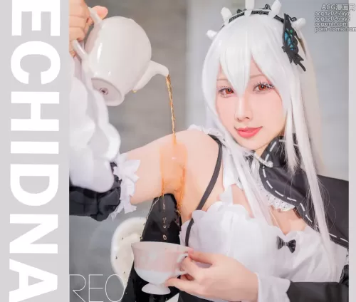 雨波_HaneAme - NO.055 RE0 Echidna 艾姬多娜[22P]