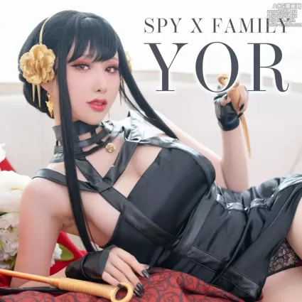 雨波_HaneAme - NO.203 間諜家族-Spy x Family Yor Forger[29P]