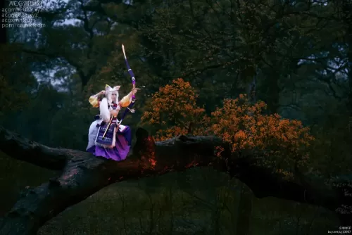 阴阳师 白狼-半半子其它写真