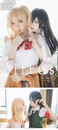 Citrus柑橘味香气-[沧霁桔梗]微博图